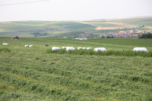 Sprijin financiar pentru fermieri printr-un împrumut BEI către Agricover Credit