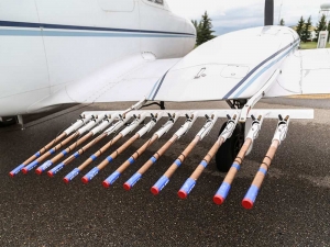 Daea vrea să „mobileze” acțiunea de prevenire a căderii grindinei prin achiziția a două escadrile de avioane. Cel mai ieftin Cessna 340 (second hand) costă 160.000 USD, neechipat