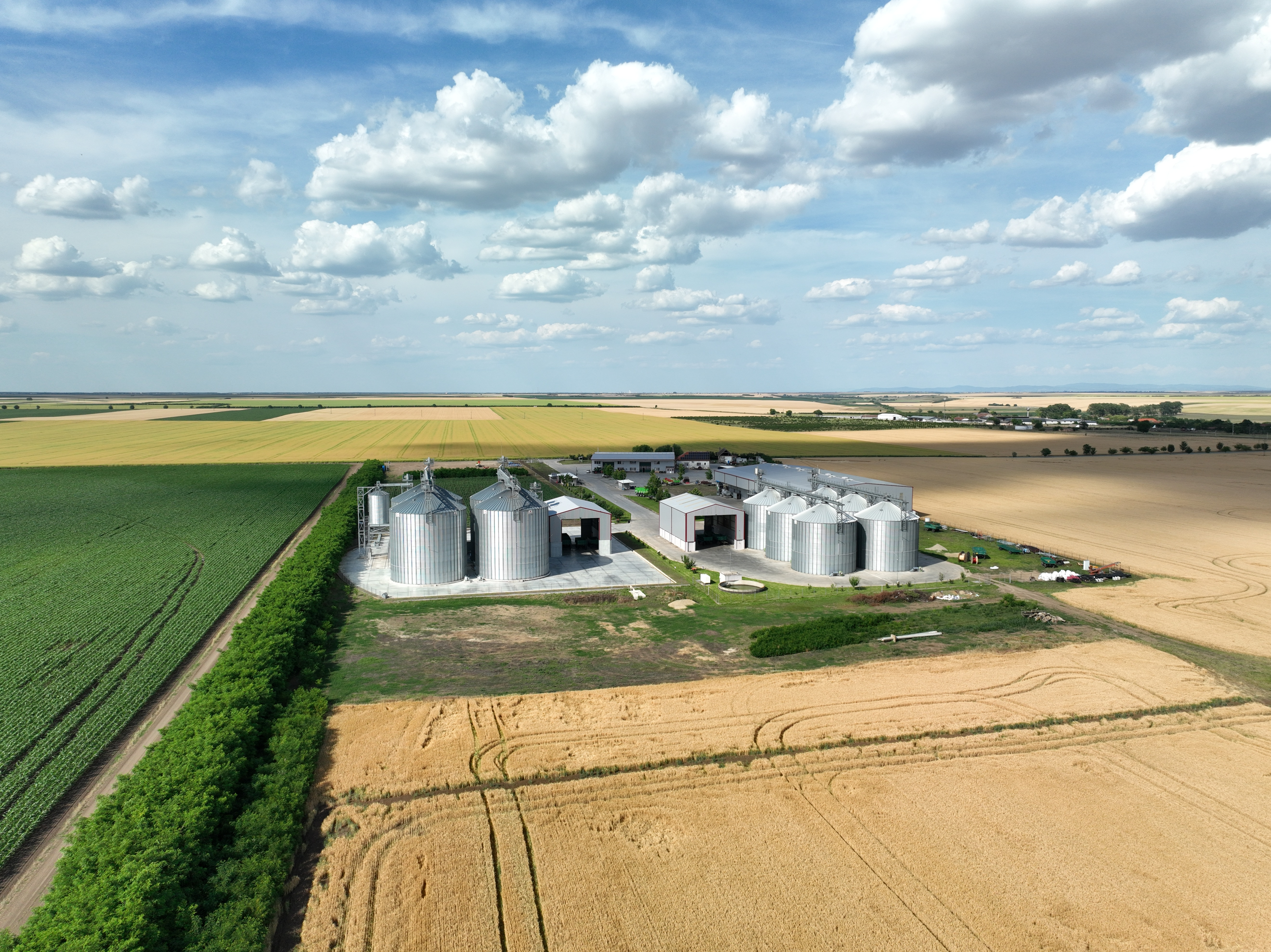 Tăierea bugetului PAC, o lovitură de 5 miliarde euro pentru fermierii din România. 8 propuneri de la Clubul Fermierilor Români