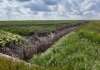 Situația gravă din agricultura românească e întreținută de autorități