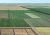 Proiect european dedicat cercetării și inovării în ameliorarea plantelor
