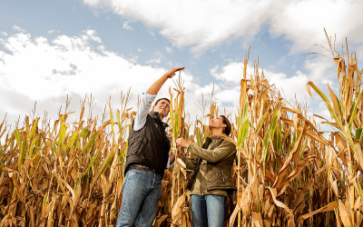 Viitorul porumbului e aici, Preceon Smart Corn System de la Bayer