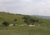 MADR: În desemnarea zonelor prioritare pentru biodiversitate nu se creează obligații noi pentru proprietarii de pajiști permanente