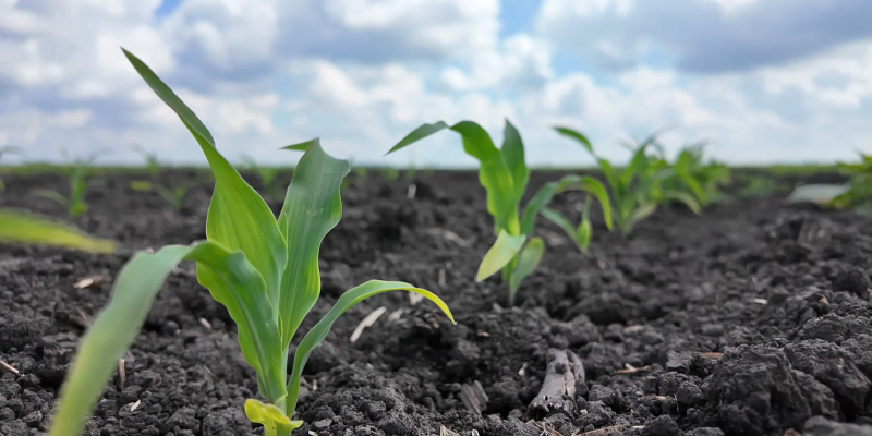 Tehnologii care ajută agricultura să răspundă mai eficient unei clime în continuă schimbare