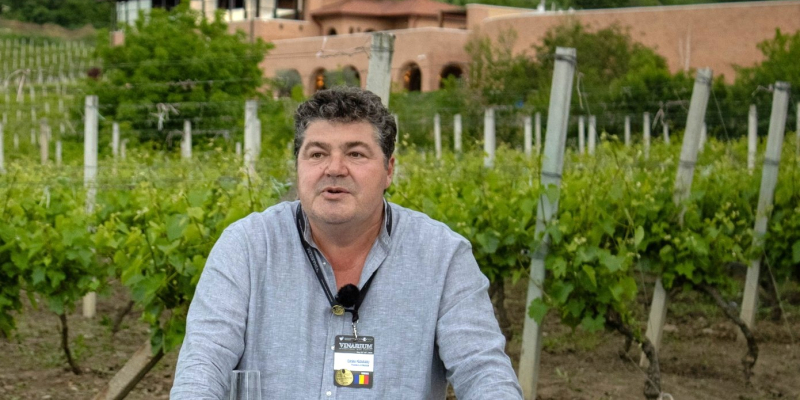 Criza pieței vinului românesc. Greșeli din trecut, prezent în șoc și căi de ieșire